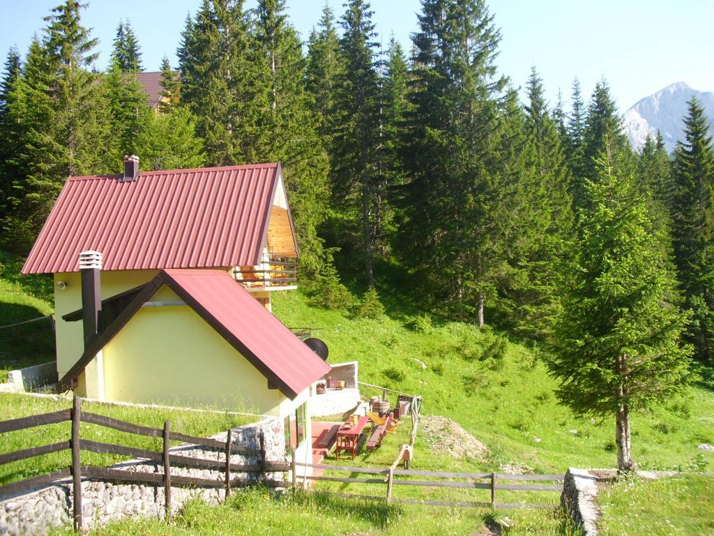 Apartment Vujisic Žabljak Rom bilde