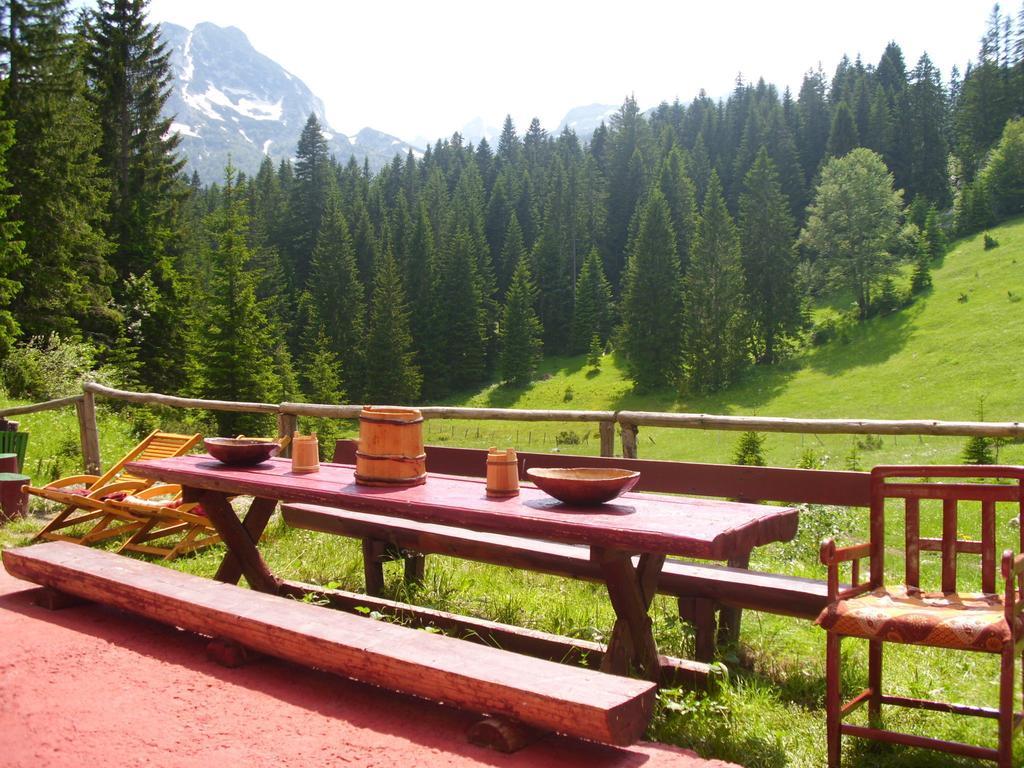 Apartment Vujisic Žabljak Rom bilde