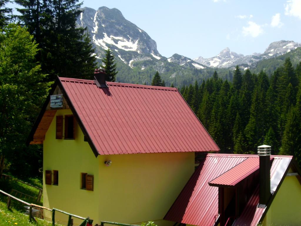 Apartment Vujisic Žabljak Rom bilde